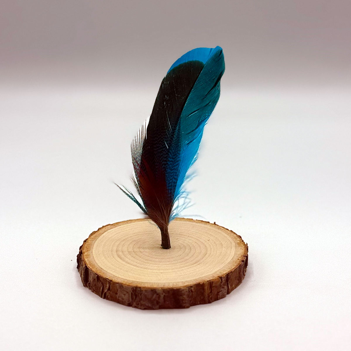 La Lupita | Pluma Para Sombrero