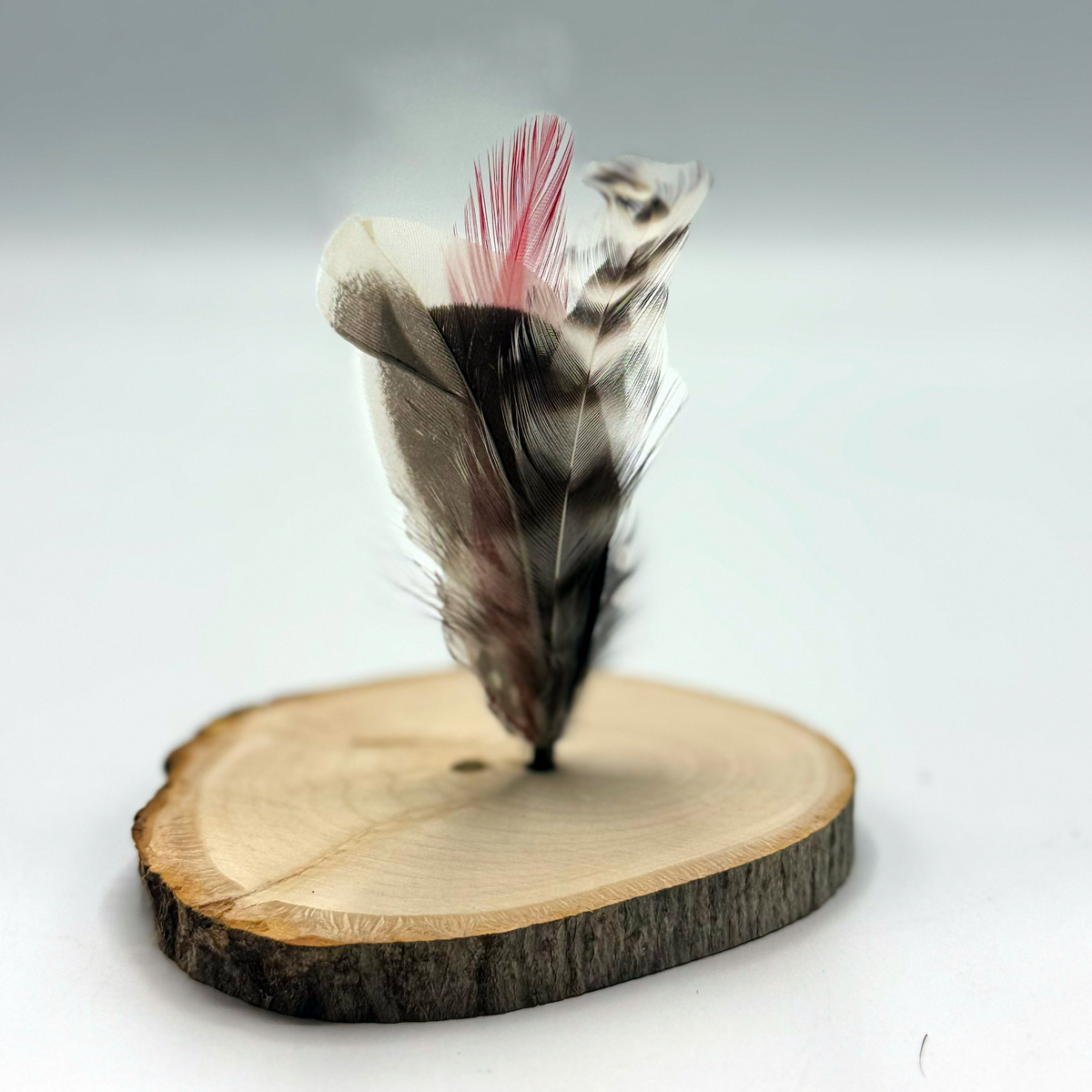 Juanita | Pluma Para Sombrero